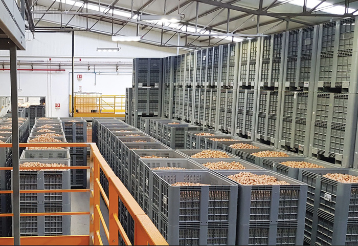 Magazzino dei tappi in sughero